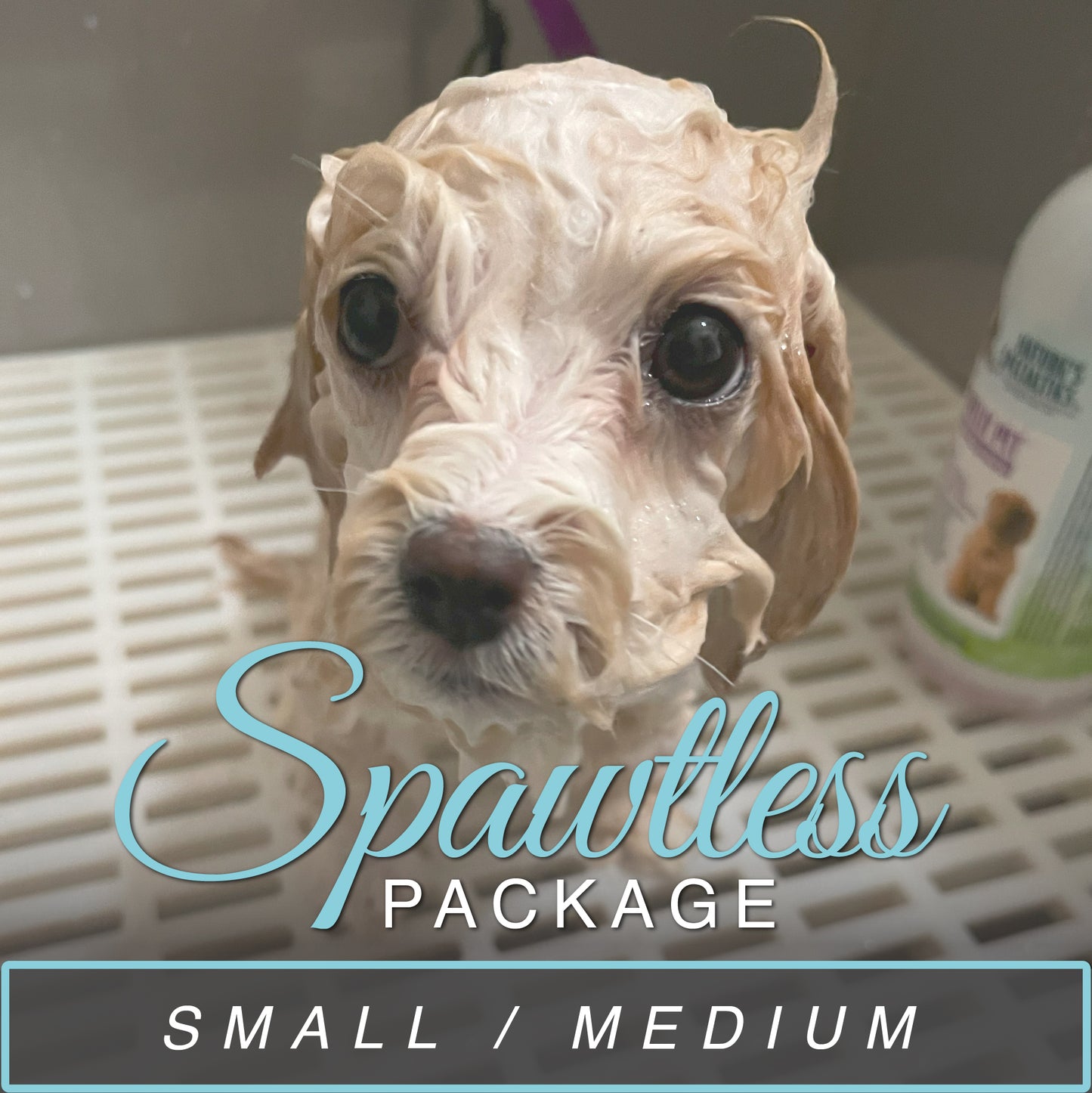 (Small/Medium) Bath & Blowout Package
