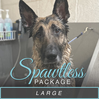 (Large) Bath & Blowout Package