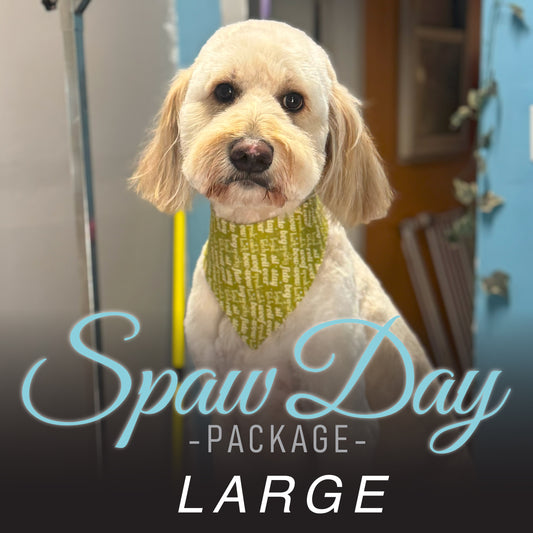 (Large) Bath & Haircut Package