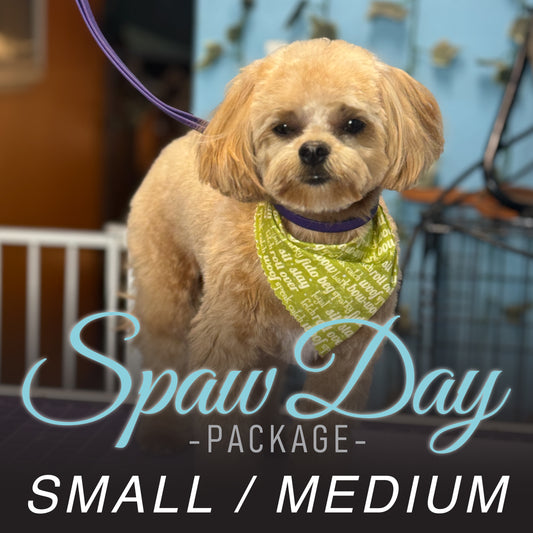(Small/Medium) Bath & Haircut Package
