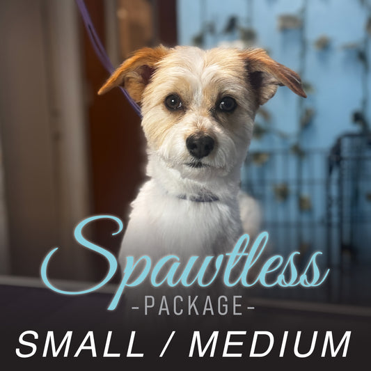 (Small/Medium) Bath & Blowout Package